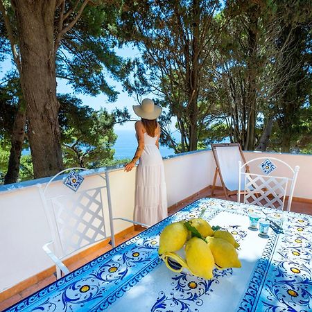 Casa Schiattarella Capri Hotel Eksteriør billede