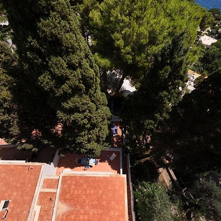 Casa Schiattarella Capri Hotel Eksteriør billede